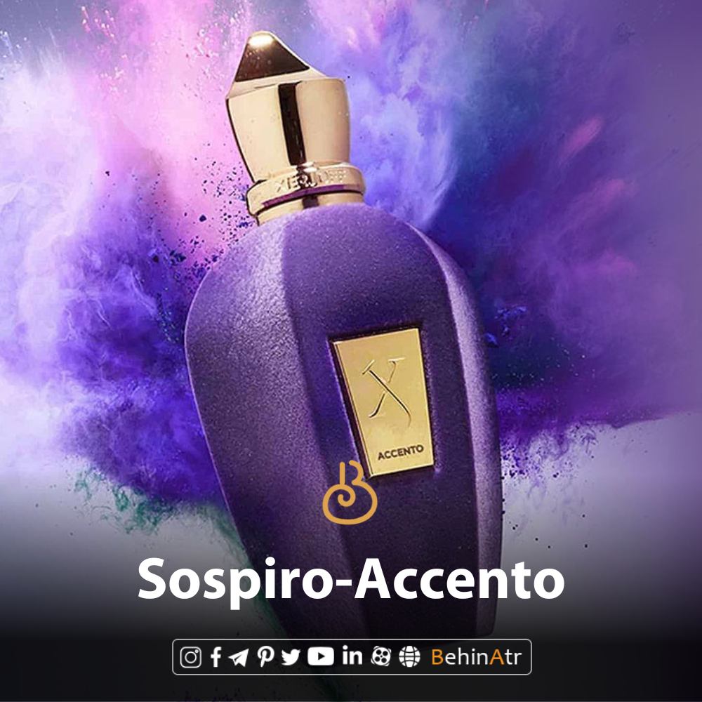 عطر اکسنتو - سوسپیرو | بهین عطر